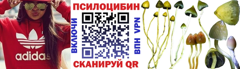 kraken ссылки  Порхов  Псилоцибиновые грибы ЛСД 
